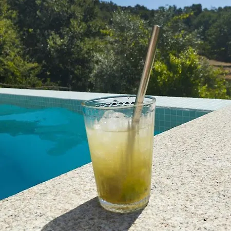 Hébergement de vacances Casa Do Reguengo, Freigil