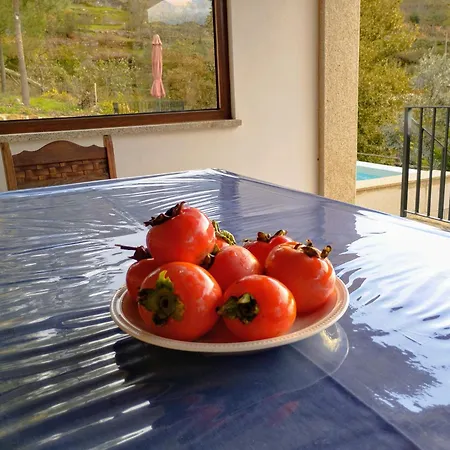 Casa Do Reguengo, Freigil 別荘 *